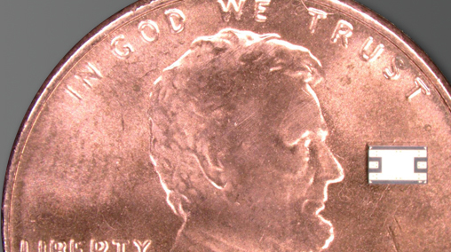 chip on a penny